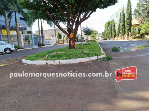 Motorista bate veículo contra árvore no canteiro central da Av. Uruguai, em Três de Maio - foto 4
