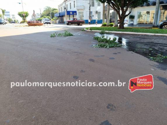 Motorista bate veículo contra árvore no canteiro central da Av. Uruguai, em Três de Maio - foto 5