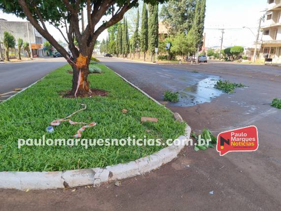 Motorista bate veículo contra árvore no canteiro central da Av. Uruguai, em Três de Maio - foto 2