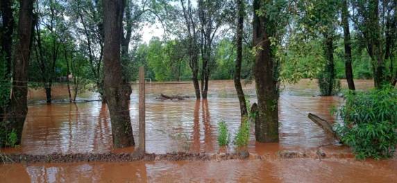 Ponte sobre o rio Reúno em Nova Candelária ficou submersa devido as chuvas - foto 3