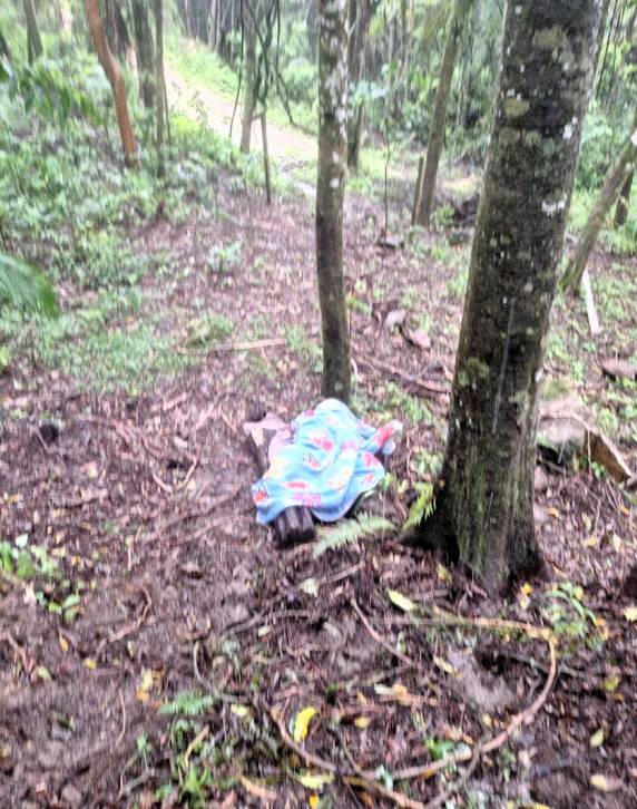 Caminhoneiro sequestrado e abandonado na BR-282 é resgatado pela PRF - foto 4