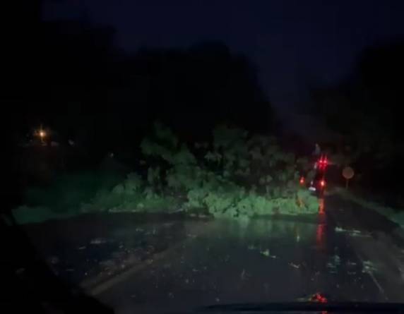 Casa de idosa fica alagada após chuva com vento, no bairro Glória em Três de Maio - foto 3