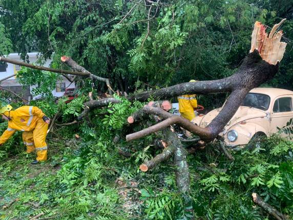 Corpo de Bombeiros de Três de Maio recebeu vários chamados durante o vendaval - foto 2