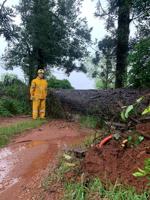 Corpo de Bombeiros de Três de Maio recebeu vários chamados durante o vendaval - foto 9
