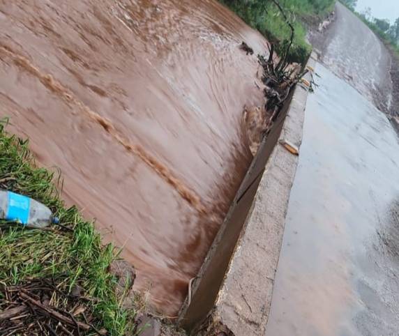 Motoristas precisam ter cuidado ao trafegar na estrada entre Nova Candelária e Crissiumal - foto 2