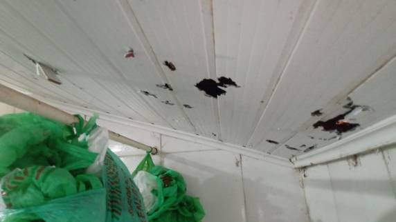 Raio atinge residência na localidade do Caravágio, interior de Três de Maio - foto 2