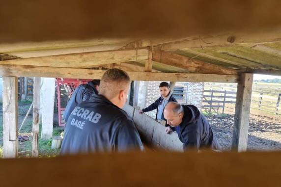 Operação Agro-Hórus da Brigada Militar e delegacias especializadas na repressão desse tipo de delito são apontadas como essenciais para diminuição de ocorrências