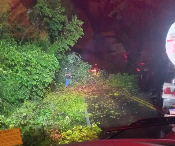 Casa de madeira desaba e pessoas ficam feridas em deslizamento de terra causado por chuvas em SC - foto 3