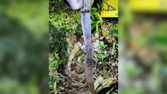 Menina de 6 anos, após o crime, saiu na rua para pedir ajuda na cidade de Maravilha. Suspeito tentou fugir, mas foi encontrado pela PM.