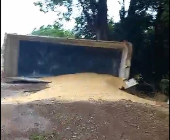 A carreta derramou a carga na lateral da rodovia