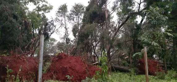 Interior de Catuípe é atingido por temporal - foto 4
