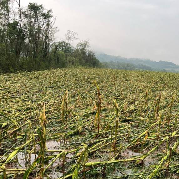 São Paulo das Missões vive dia de ''desespero'' com fortes temporais - foto 2
