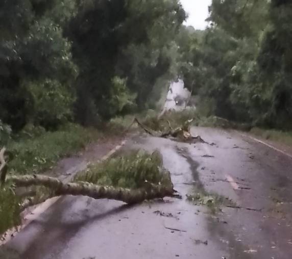 Motoristas precisam ter cuidado redobrado no trajeto entre Independência e Catuípe