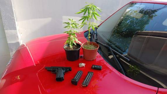 PF e PRF deflagram Operação Cartage para reprimir o tráfico transnacional de drogas - foto 2