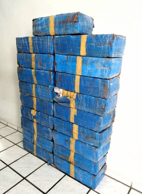 O motorista do veículo que transportava a droga, de 24 anos, foi detido e conduzido à Delegacia de Polícia de Grão-Pará.