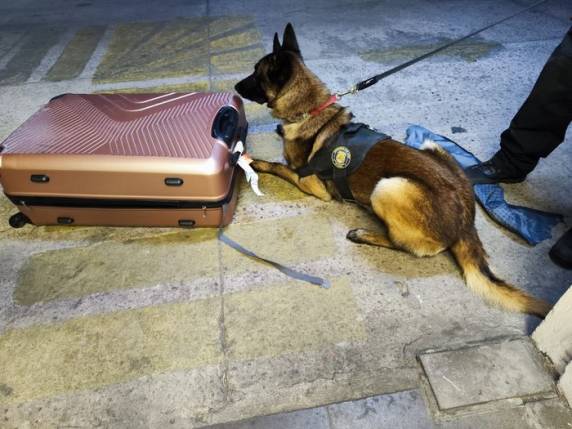 Entorpecentes estavam escondido em fundo falso de uma mala e preso junto ao corpo de uma das passageiras