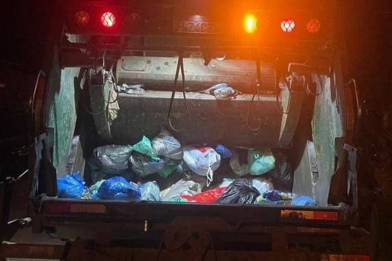 No depoimento, ela afirmou, ainda segundo Palomino,  que não sabia que estava grávida e que achou que o bebê teria nascido morto. A jovem admite que jogou o corpo do filho no lixo para a família não descobrir o fato.  