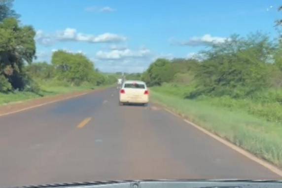 Três suspeitos de estarem no veículo foram identificados pela polícia nesta segunda (11); eles devem responder por maus-tratos aos animais