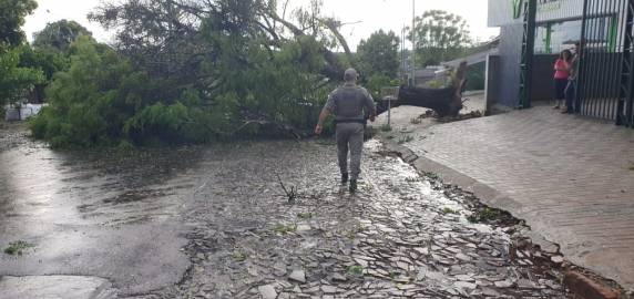 Fortes ventos causam estragos em diversos pontos da cidade de Santo Ângelo - foto 2