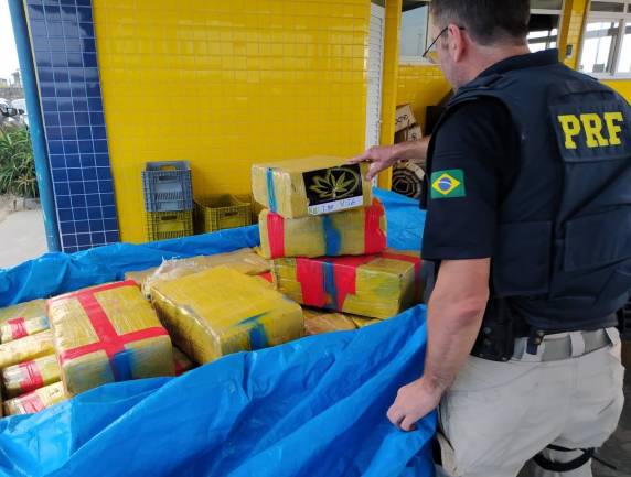 Mais de meia tonelada de maconha é localizada em carro e carretinha na BR-101 em Araranguá - foto 2