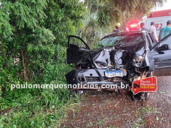 Automóvel Astra colidiu em uma árvore na lateral da rodovia