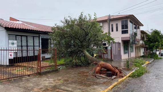Temporal atinge Tenente Portela e destelha cerca de 200 casas - foto 5