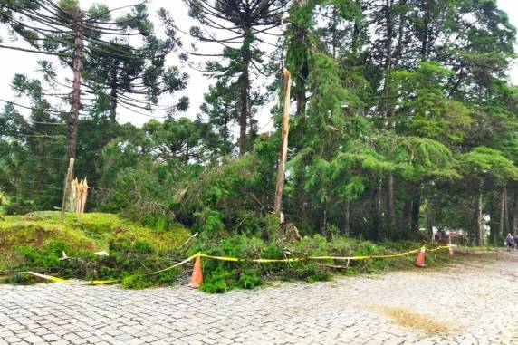 Cerca de 100 casas são destelhadas após temporal em Caxias - foto 3