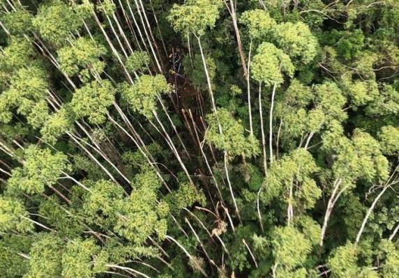 Helicóptero que desapareceu no litoral paulista é localizado; todos os ocupantes morreram