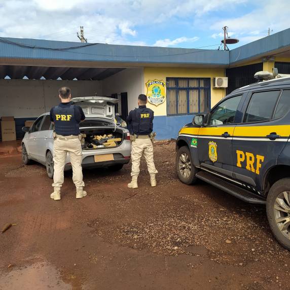 A droga apreendida poderia gerar mais de 250 mil reais ao crime