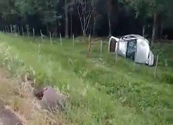Duas pessoas ficam feridas após capotagem de veículo na RS-575 em Porto Vera Cruz - foto 2
