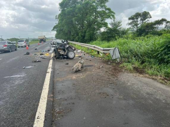 Devido à violência da colisão, o veículo ficou destruído e a passageira, uma mulher, de 22 anos, cidadã argentina, morreu no local