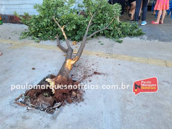 Veículo invade ambiente de uma lancheria no Centro de Três de Maio - foto 3