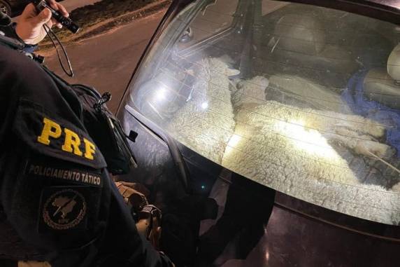 Dois homens, que teriam furtado animais de uma propriedade, foram presos após abordagem a um Ford Ka na BR-153