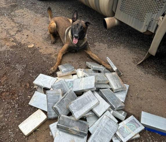 Drogas foram encontradas em veículo abordado na tarde desta sexta-feira em Campos Novos.