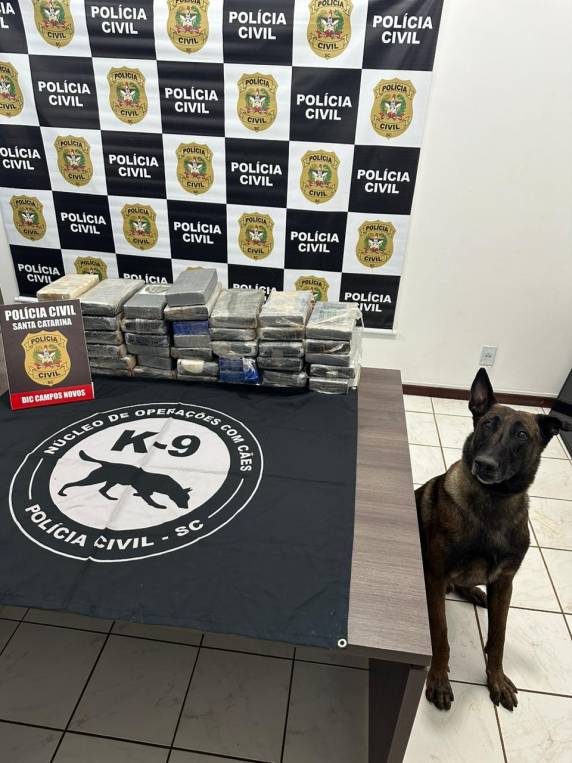 Operação policial apreende mais de R$ 1 milhão em crack e cocaína - foto 2