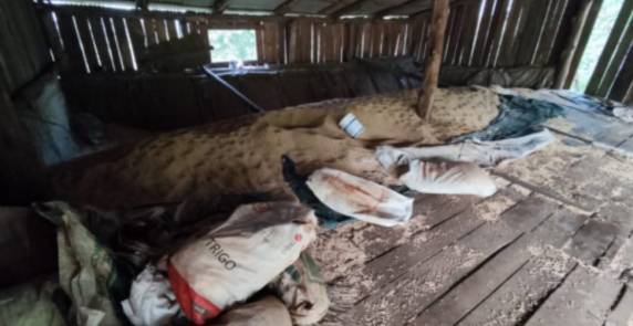 Durante o deslocamento pela estrada rural, os policiais avistaram rastros de grão de soja nas margens do rio Uruguai, pela estrada que levou até uma propriedade onde havia dois galpões com estrutura de armazenamento de soja