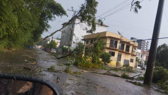Temporal causa estragos em Sobradinho, no Vale do Rio Pardo - foto 3