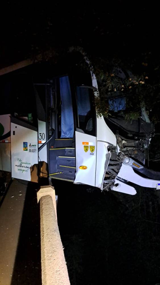 Motorista morre em acidente que envolveu uma caminhonete e dois ônibus, na RS-522 em Augusto Pestana - foto 5