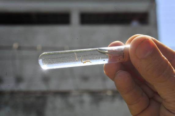 Óbitos foram confirmados em Cerro Largo, Frederico Westphalen e Giruá