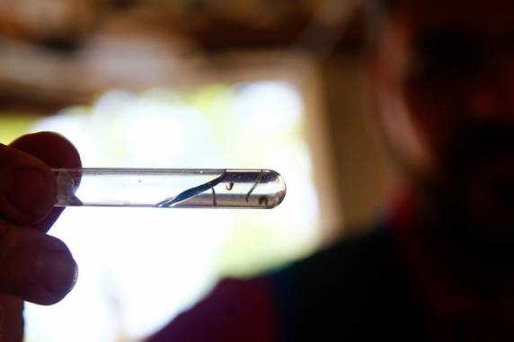 Estado soma mais de 40 mil casos confirmados da doença até o momento, quando, em todo o ano passado, foram 38.387 contaminações registradas