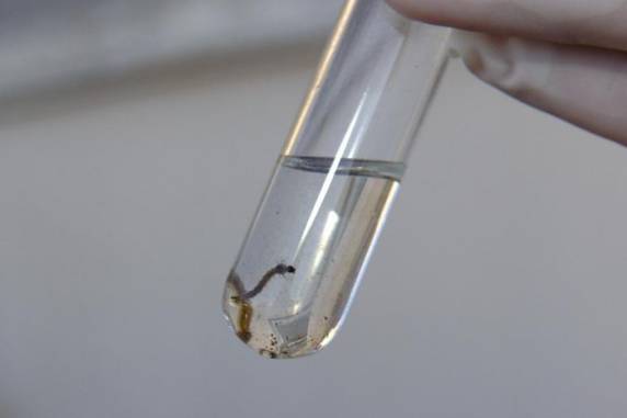 Até então, o ano de 2022 era o que mais havia registrado vítimas fatais