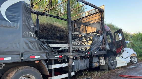 Acidente com morte na BR-392 em Salvador das Missões - foto 2
