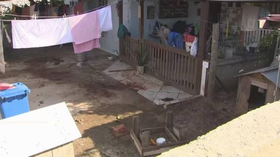 Vítima tinha 35 anos e entrou na residência para fazer serviços; um dos animais foi morto a tiros por vizinhos