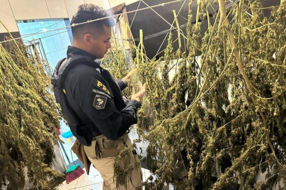 Drogas e armamento estavam na moradia de um homem de 27 anos, que dirigia um Corsa