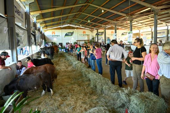 Expo Terneira registra mais de 30 mil pessoas na edição de 2024 - foto 6