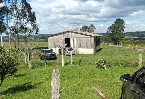 PRF apreende 256 kg de maconha depois de motorista fugir da abordagem na BR-280 em Mafra - foto 2