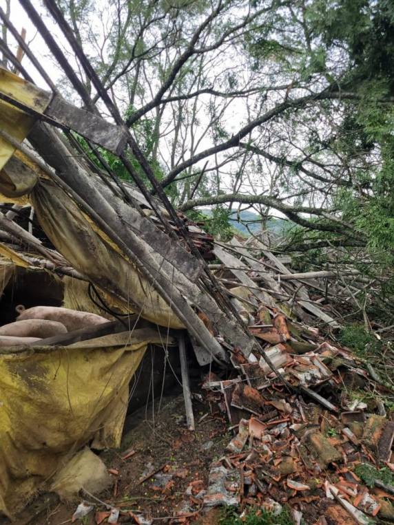 Tornado causa estragos na cidade de Gentil -RS - foto 3