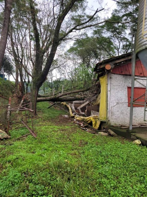 Tornado causa estragos na cidade de Gentil -RS - foto 4