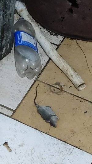 Vereador é preso em ação contra desvio de donativos em Palmares do Sul - foto 2
