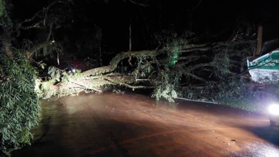 Temporal provoca devastação na metade leste do município de São Luiz Gonzaga - foto 2